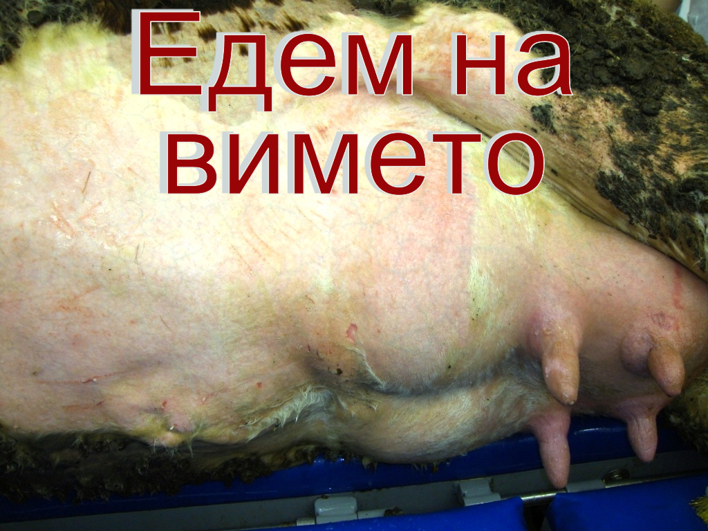 Какво представлява едема на млечната жлеза?