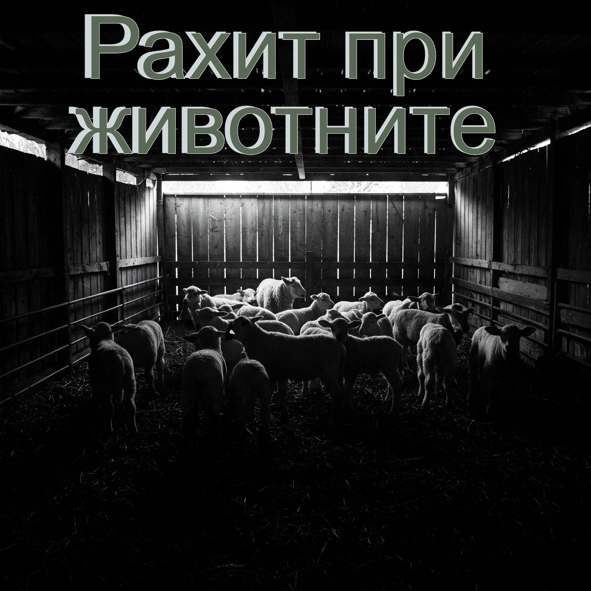 Рахит при новородените и подрастващите животни